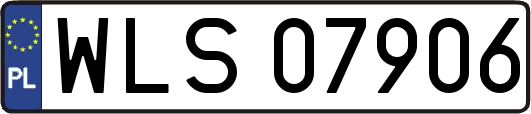 WLS07906