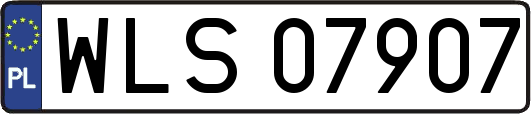 WLS07907