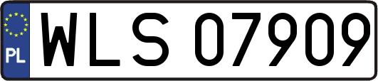 WLS07909