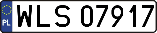 WLS07917