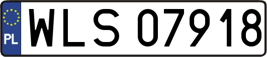 WLS07918