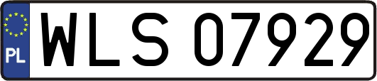 WLS07929