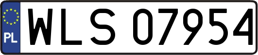 WLS07954