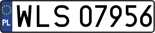 WLS07956