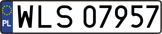 WLS07957
