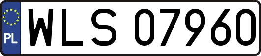 WLS07960