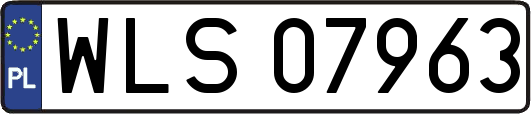 WLS07963