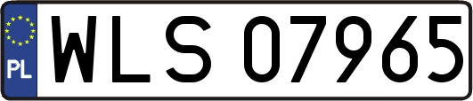 WLS07965