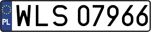 WLS07966
