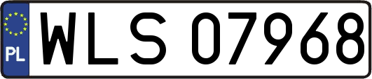 WLS07968