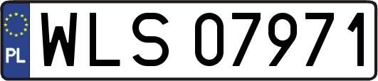 WLS07971