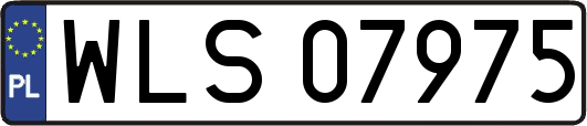 WLS07975