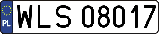 WLS08017