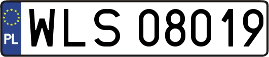 WLS08019