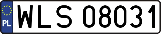 WLS08031