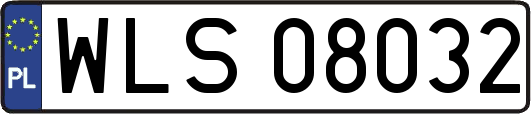 WLS08032