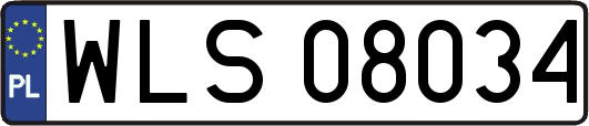 WLS08034