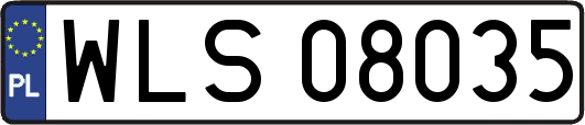WLS08035