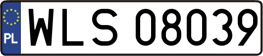 WLS08039