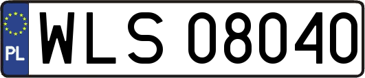 WLS08040