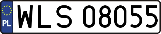 WLS08055