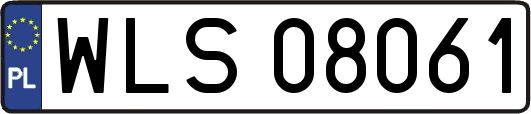 WLS08061