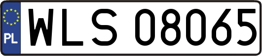 WLS08065