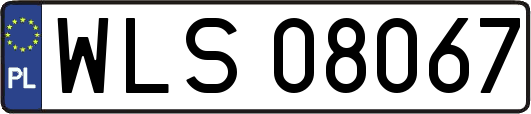 WLS08067