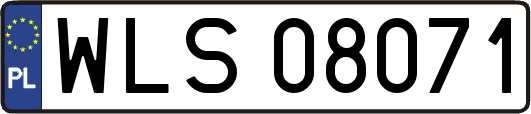 WLS08071