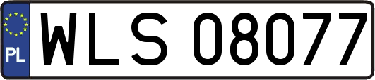 WLS08077