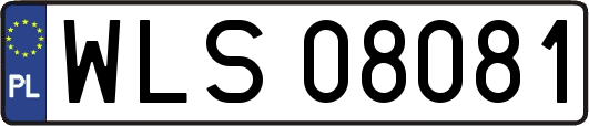 WLS08081