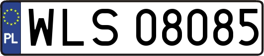 WLS08085
