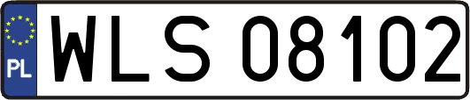 WLS08102