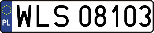 WLS08103