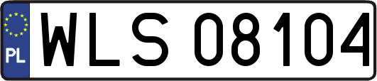WLS08104