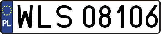 WLS08106