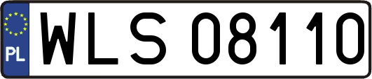 WLS08110
