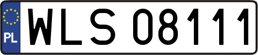 WLS08111