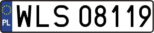 WLS08119