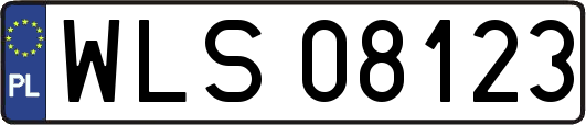 WLS08123