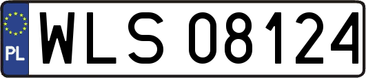 WLS08124