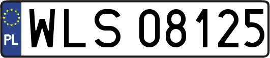 WLS08125