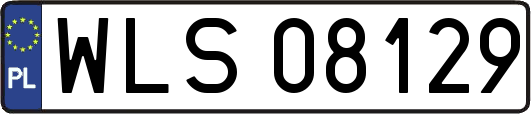 WLS08129