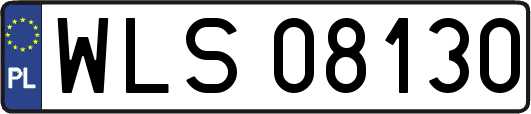 WLS08130