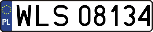 WLS08134