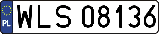 WLS08136