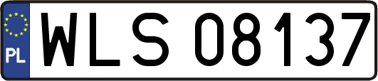 WLS08137