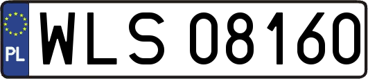 WLS08160
