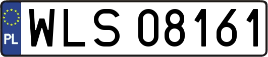 WLS08161