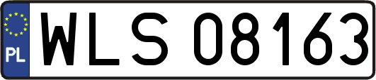 WLS08163